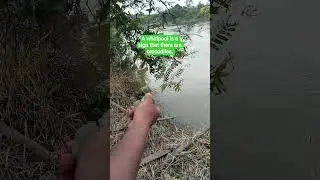 Still be careful of whirlpools like this.