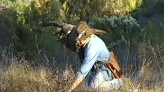 Dan Flying Goshawk 1996 640x480