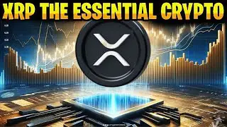 Why XRP Stands Alone | Your Ultimate Crypto Choice