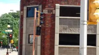 Malfunctioning Pedestrian Signal
