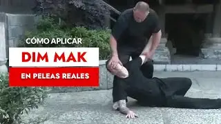 Como aplicar Dim mak (puntos vitales) en una pelea real