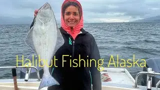 Halibut Fishing in Juneau ALASKA!