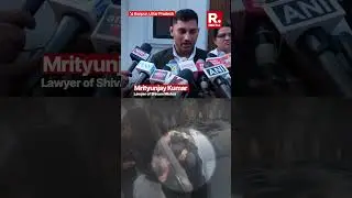 Lawyer Claims Shivam Mishra Was Not Driving Lamborghini in Kanpur Crash