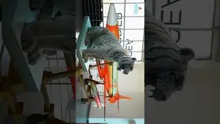 SEA HARRIER MUSEUM