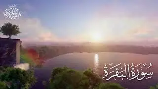 ٤ فبراير ٢٠٢٦