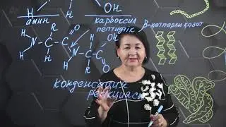 Нәруыздың құрылымдық деңгейлері мен құрылысы. 10 сынып.