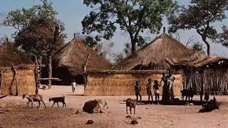 Nicolas Sarr ''Noune simma''