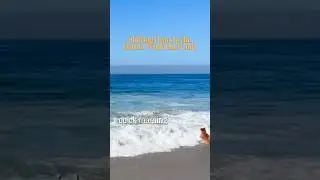Why Fall is the Best Time to Surf OC 🌊| Sandbar Magic & Crossed-Up Swells