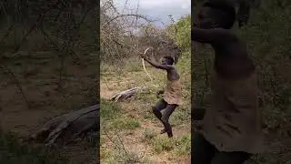 Living Like the Hadzabe: Inside the Ancient Lifestyle of Tanzania&rsquo;s Indigenous Tribe