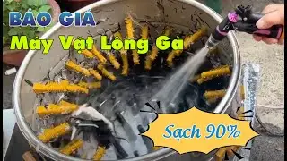 Báo giá máy vặt lông gà mới nhất 2025 | Máy vặt lông gà hiệu quả, bền bỉ tại Viễn Đông