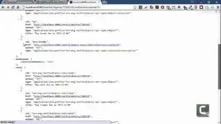 Apache Isis REST API Content Negotiation