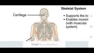 مصطلحات طبية lec.2 الجزء الاول..