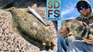 Light Line Fishing Free Sardines Solo Skiff San Diego Bay Halibut & Spotted Bay Bass SDFS Spring 24