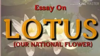 15 lines essay on LOTUS flower (Our National Flower) in English