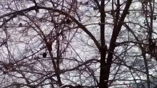 VID 20170129 123124