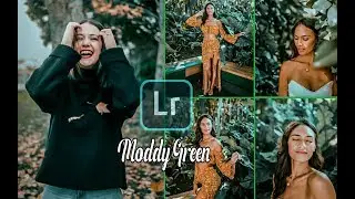 Lightroom Mobile Presets Free DNG| Moody green tone Presets | lightroom mobile moody green Tutorial