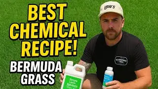 🌱 The BEST Lawn Recipe for Bermuda Grass | Green & Thick Yard Guide