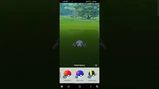 Shiny ✨️Spinarak ✨️ Caught During Spotlight Hour