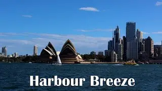 1 часов атмосферы Сиднейской гавани | Опера (Sydney Opera House) и звуки лодок