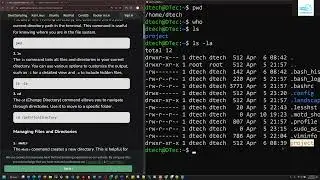 Linux basic commands and sample project use case.