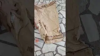 Unboxing umbrella ordered from Amazon #umbrella #unboxing