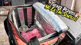 GANE  MAS DE $2,000 CON ESTE RETO DE UBER EATS🛵🍕🌮