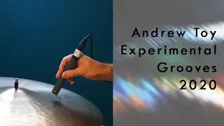 Andrew Toy Experimental Grooves 2020