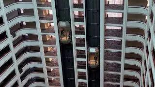 Scenic Fujitec Traction Elevators at the RiverCenter Marriott - Covington, KY