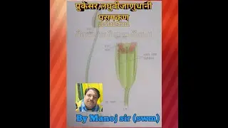 12TH BIOLOGY CHAPTER-02 SEXUAL REPRODUCTION IN FLOWERING PLANTS BY MANOJ SIR #jps #biology #online