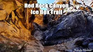 Red Rock Canyon National Conservation Area- Ice Box Canyon Trail