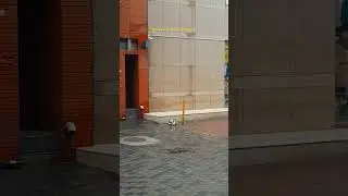 Kuwait Rainy Morning 🌧️ #kuwait #morning #shorts #youtubeshorts