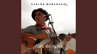 Alas de so&ntilde;ar