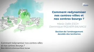 Comment redynamiser nos centres-villes et nos centres-bourgs ? - CESE
