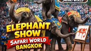 Bangkok Safari World Elephant Show