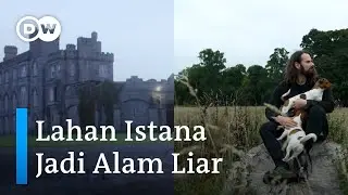 Bangsawan Muda Irlandia Ini Rela Beri Tanah Warisannya untuk Jadi Alam Liar, Kenapa? | DW Inovator
