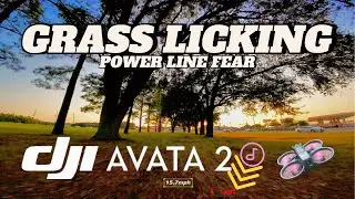 FPV Freestyle at Sunset: DJI Avata 2 with HQ Props