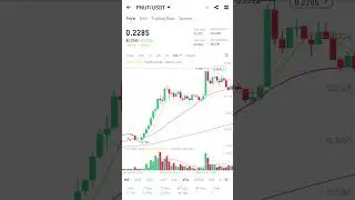 PNUT Coin Price Pump $0.18 To $0.23 | PNUT Coin Price | PNUT Price | PNUT Price Prediction | PNUT