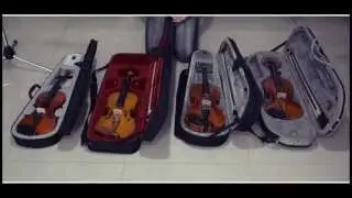 Diferencias entre precios de violines 1/2