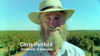 Episode 3.6 - Trialling salt bush in mid rows