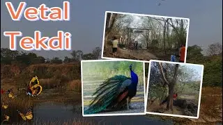 Vetal Tekdi Pune | ARAI Hills | A Must Visit  Place in Pune ​⁠@getuniquewithkirti