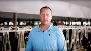 Success story - Carlson dairy - GEA CowScout powered by Nedap (NL)