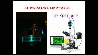 FLUORESCENCE MICROSCOPE