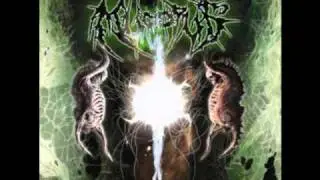 Mucopus - MucUs Vs. Them