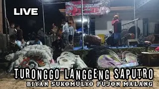jaran dor turonggo langgeng saputro