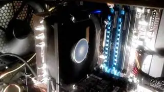 PROLIMATECH LYNX NOISE