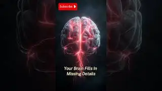 Your Eyes See It&hellip; But Your Brain Decides 🤯 #shorts