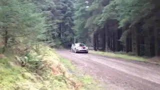 Malcolm Wilson stages 2014 focus WRC Paul Bird