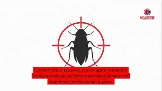 How Much Does Pest Control Cost in Melbourne