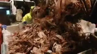 Hitting the Jackpot - Deadliest Catch Ep 11 Sneak Peek