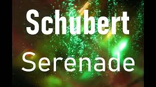 Schubert - Serenade